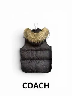 2026年最新】COACH レディース ダウンベスト・キルティングベストの