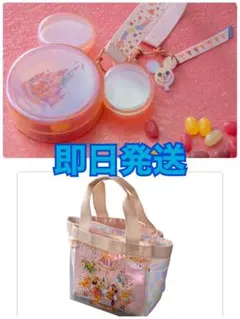 ディズニー４０周年　スーベニアランチケース　グミケース２点セット