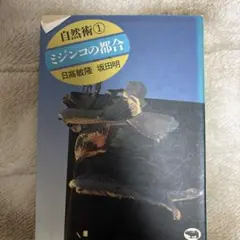 Item thumbnail for item c55a9fd0-72d4-47ac-8b70-cf59418a5c53