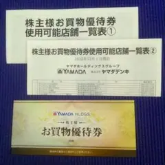 ヤマダホールディングス　株主優待券　5,000円分