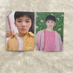 SEVENTEEN 2019 JAPAN TOUR HARU ウジ