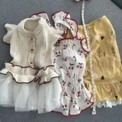 犬服 3点セット フリル付き