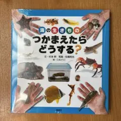 海の生きもの・生きもののつかまえたらどうする？　2冊セット