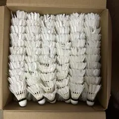 バドミントンノックシャトル 390個入り15.000円 バドミントンノックシャトル 390個入り15.000円 - メルカリ