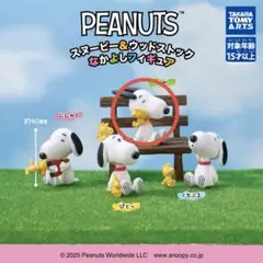 PEANUTS スヌーピー&ウッドストックなかよしフィギュア　　かぜ