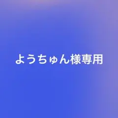 ようちゅん様専用