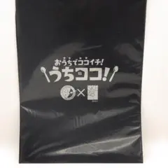 おうちでココイチ！SKE48 コラボクリアファイル 未開封品 F2782 - メルカリ