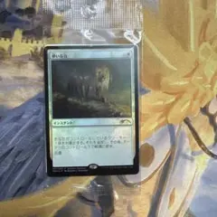 MTG　匿名配送　儚い存在　日本語４枚　ボーダーレス MTG 日本語版 「儚い存在/Ephemerate」 ボーダーレス 4枚 - メルカリ