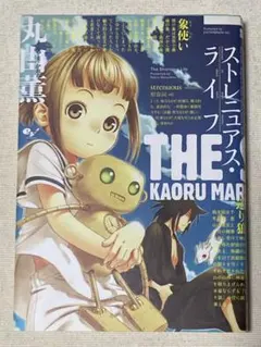 Item thumbnail for item 4128a2e3-88f3-4325-8699-7dcf3ed29705