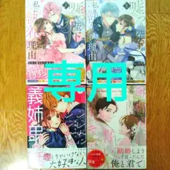 ライト様専用 嘘つき陛下が私に… ①②こじれにこじれた…①御曹司に誓いのケーキ①