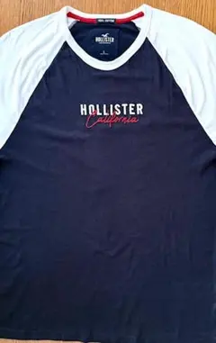 日本未入荷!アバクロの兄弟ブランドHOLLISTER長袖Tシャツ☆Lサイズ