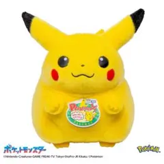 ポケットモンスター ポケモン30周年記念 おかえり！ピカチュウ1/1