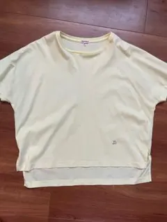 【美品】DRESSTERIOR ドレステリア アイスクリアコットンTシャツ 36のサムネイル