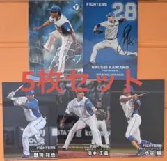 プロ野球チップス 2025 第1弾 伊藤大海 河野 郡司 田中 水谷 日本ハム