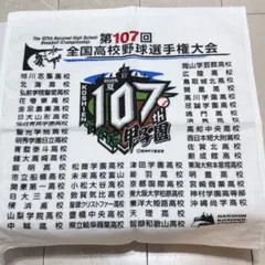 第107回全国高校野球選手権大会記念タオル 甲子園限定 2025 高校野球