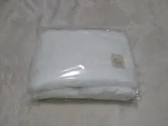 Item thumbnail for item acd61823-3e0c-4e88-bcab-509725048501