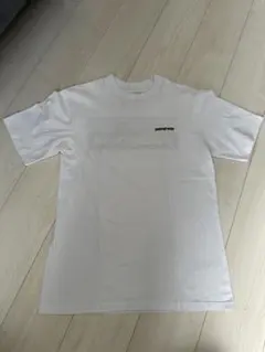 patagonia ホワイト レスポシビリティーTシャツのサムネイル