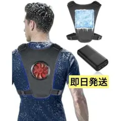 ペルチェ⭐️ベスト ペルチェ素子×爆風 -33.8℃瞬間冷却 46000mAh 