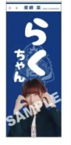 2026年最新】柴崎楽の人気アイテム - メルカリ