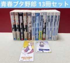 9冊 全巻初版】青春ブタ野郎シリーズ 全巻セット バニーガール先輩 青