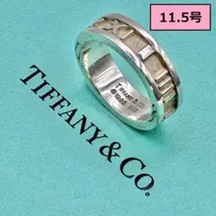 登坂広臣着用Tiffanyタイタンピアス - メルカリ