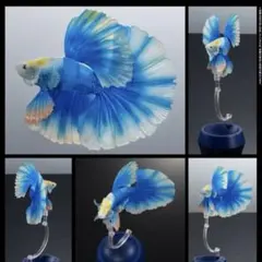 Item thumbnail for item c8b8a885-3ea5-4a2c-89cc-2673322325d1