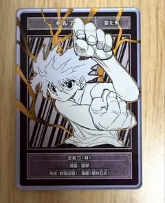 2026年最新】hunter×hunter ステータスカード キルアの人気アイテム