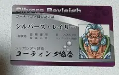 ワンピース パロディカード コーティング職人認定証 シルバーズ