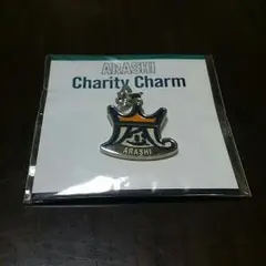 値下げ 嵐 beautifulworld チャリティーチャーム