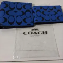 Item thumbnail for item 3632715c-eb0f-4971-8881-135dbb92a603