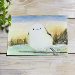 シマエナガと虹のキャンバスアート 手描き絵画 子供作品 シマエナガと虹 キャンバスアート 手描き絵画 - メルカリ