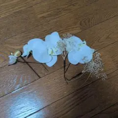 胡蝶蘭 髪飾り 和装 結婚式 成人式