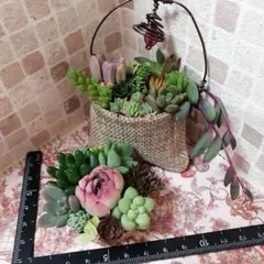 そのまま飾れる多肉植物の寄せ植え*２つセット