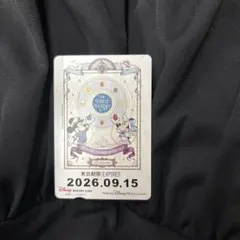 東京ディズニーリゾートライン 使用済みフリー切符　25周年