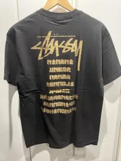 '10s Stussy 関西店舗限定Tシャツ 新品未使用 半タグ付き