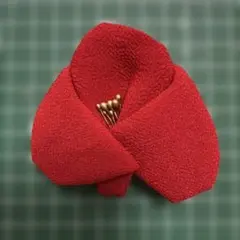 ⭐︎ガネーシャ⭐︎様専用です