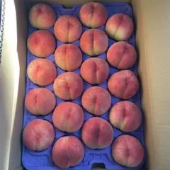 山形県産　桃　あかつき　約5kg 20から22玉のサムネイル