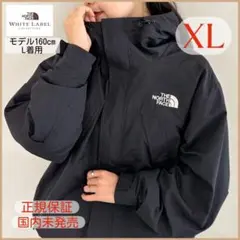 THE NORTH FACE 軽量 ワンポイント刺繍 マウンテンジャケットXL