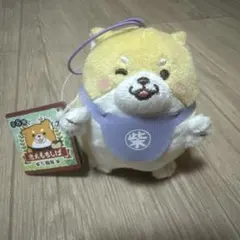 忠犬もちしば　ばんざいぽってりプチマスコット