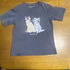 Paul & Joe UT Tシャツ M 猫デザイン　ユニクロ
