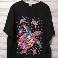 新品☆未使用☆/ScoLar/チュニック/Tシャツ/レース/黒/Mサイズ/綺麗 
