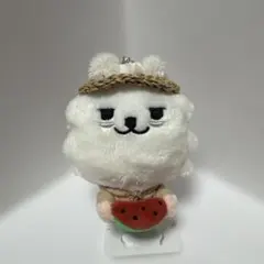 SKZOO 10cmぬい服 麦わら帽子＆お花ポシェットセット ハンドメイド