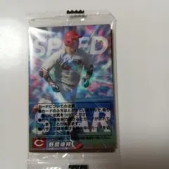 r様 リクエスト 2点 まとめ商品