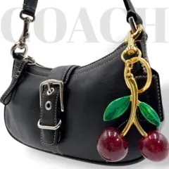 Coach mini Soho Hobo Shoulder bag y2k