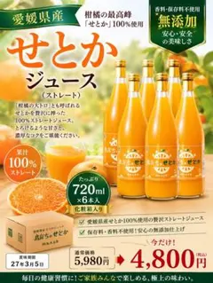 約50玉使用】1日3本限定 高知県産土佐文旦100%果汁2L 5倍希釈 無添加 