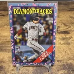 Item thumbnail for item 7009cff2-ca54-4691-9d75-911cce6a007c