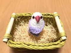 Item thumbnail for item 959c82a7-68d8-4898-a94c-c4840b250ba6