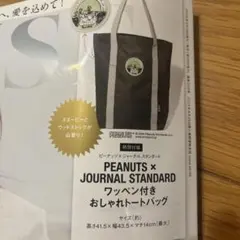 オトナミューズ付録　PEANUTS JOURNAL STANDARDバッグのサムネイル