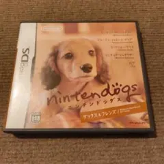 ニンテンドッグス nintendogs ダックス＆フレンズ