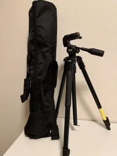 Item thumbnail for item 9bc4b5b6-abce-4254-aa4f-72ae49c5529e